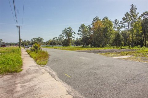 Terrain à vendre à Starke, Floride № 2211560 - photo 4
