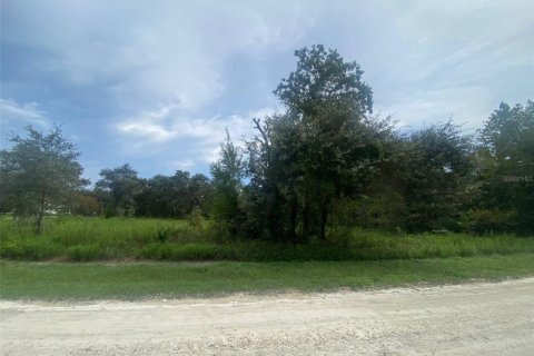 Terreno en venta en Dunnellon, Florida № 1917191 - foto 7
