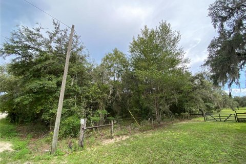 Terreno en venta en Dunnellon, Florida № 1917191 - foto 1