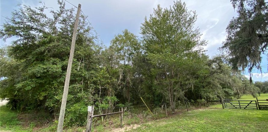 Terreno en Dunnellon, Florida № 1917191