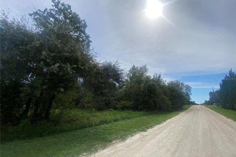Terreno en venta en Dunnellon, Florida № 1917191 - foto 6