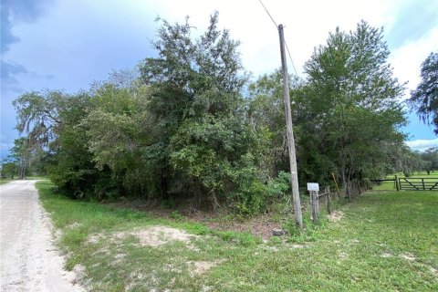 Terreno en venta en Dunnellon, Florida № 1917191 - foto 2