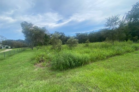 Terreno en venta en Dunnellon, Florida № 1917191 - foto 3