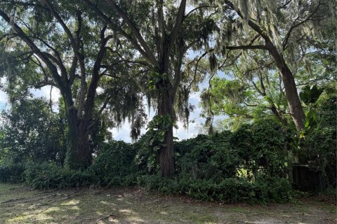 Villa ou maison à vendre à Winter Haven, Floride: 3 chambres, 188.96 m2 № 2415473 - photo 28