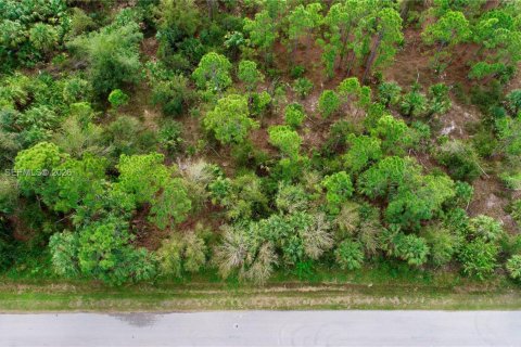 Land in Punta Gorda, Florida № 2170643