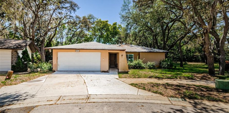 House in Port Richey, Florida 3 bedrooms, 178.74 sq.m. № 1644236