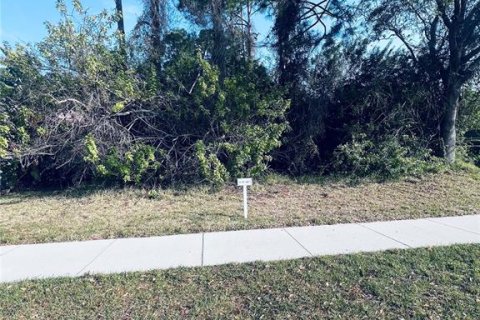 Terrain à Palm Coast, Floride № 2107215