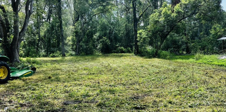 Terreno en Callahan, Florida № 769528
