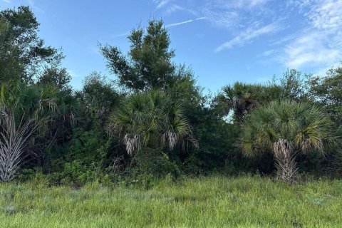 Terreno en alquiler en Port Charlotte, Florida № 1879631 - foto 1
