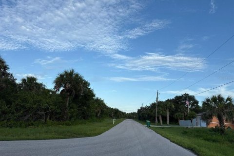 Terreno en alquiler en Port Charlotte, Florida № 1879631 - foto 6