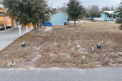 Terreno en venta en Steinhatchee, Florida № 2106201 - foto 2