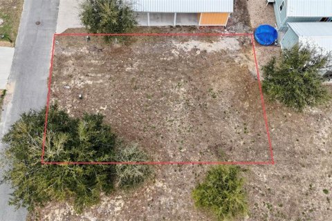 Terreno en venta en Steinhatchee, Florida № 2106201 - foto 17