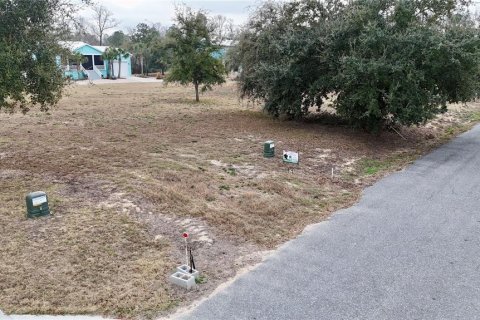 Terreno en venta en Steinhatchee, Florida № 2106201 - foto 3