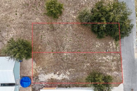 Terreno en venta en Steinhatchee, Florida № 2106201 - foto 14