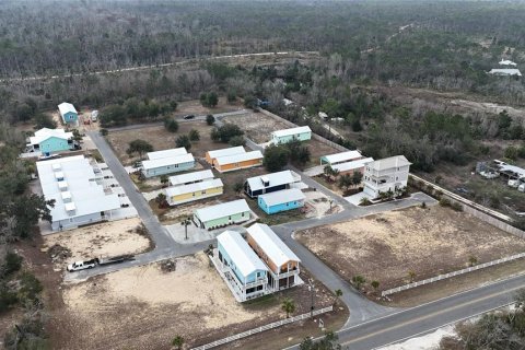 Terreno en venta en Steinhatchee, Florida № 2106201 - foto 12
