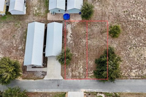 Terreno en venta en Steinhatchee, Florida № 2106201 - foto 11