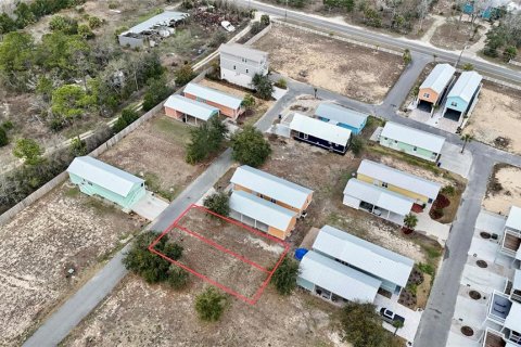 Terreno en venta en Steinhatchee, Florida № 2106201 - foto 9