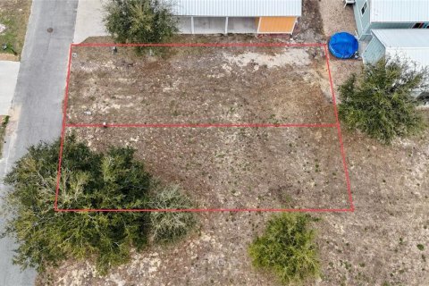 Terreno en venta en Steinhatchee, Florida № 2106201 - foto 15