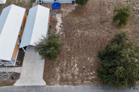 Terreno en venta en Steinhatchee, Florida № 2106201 - foto 7