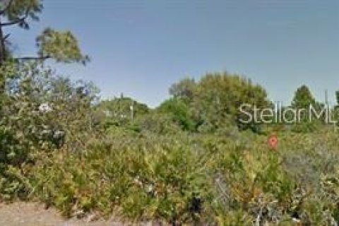 Land in Port Charlotte, Florida № 2165069