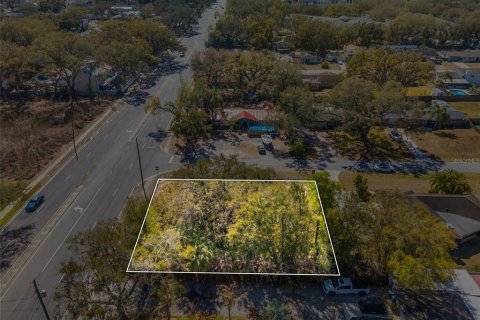Land in Brandon, Florida № 2093054 - photo 12