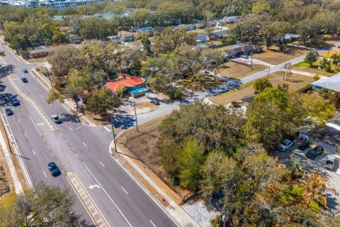 Land in Brandon, Florida № 2093054 - photo 4