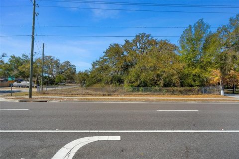 Land in Brandon, Florida № 2093054 - photo 11