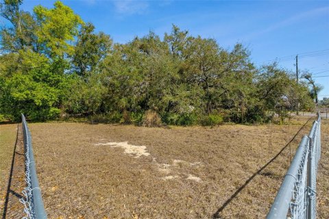 Land in Brandon, Florida № 2093054 - photo 8