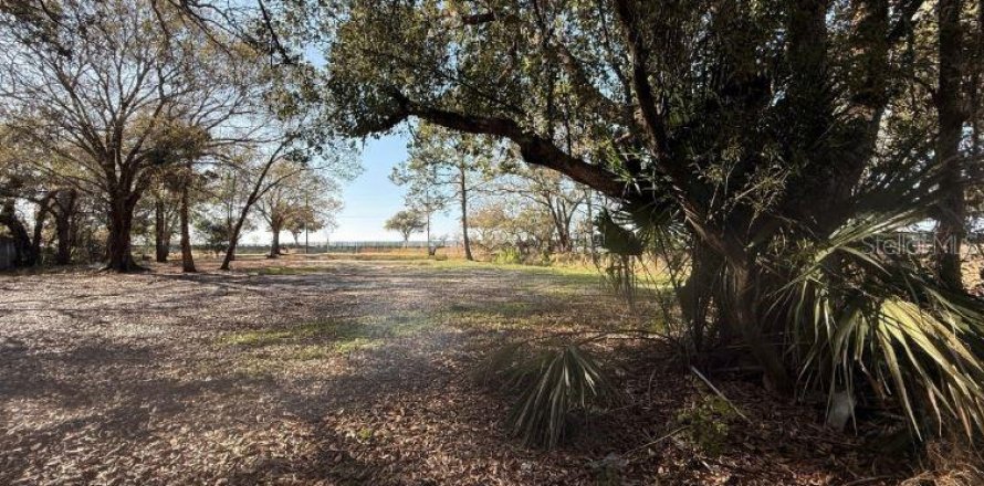 Propiedad comercial en Ocoee, Florida 148.09 m2 № 2098433