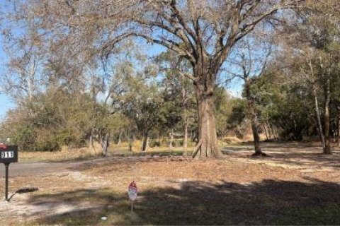 Propiedad comercial en venta en Ocoee, Florida, 148.09 m2 № 2098433 - foto 2