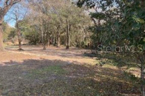 Propiedad comercial en venta en Ocoee, Florida, 148.09 m2 № 2098433 - foto 4