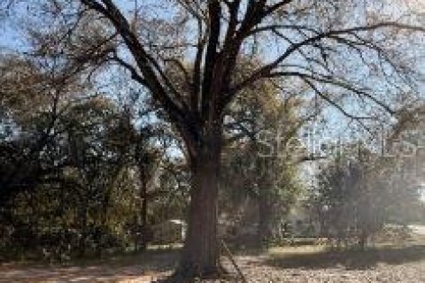Propiedad comercial en venta en Ocoee, Florida, 148.09 m2 № 2098433 - foto 5