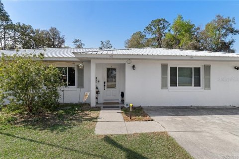 Villa ou maison à vendre à Inverness, Floride: 3 chambres, 151.9 m2 № 1541851 - photo 4
