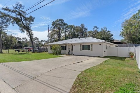 Villa ou maison à vendre à Inverness, Floride: 3 chambres, 151.9 m2 № 1541851 - photo 3