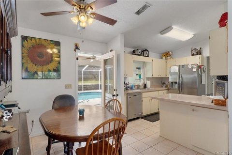 Villa ou maison à vendre à Inverness, Floride: 3 chambres, 151.9 m2 № 1541851 - photo 9