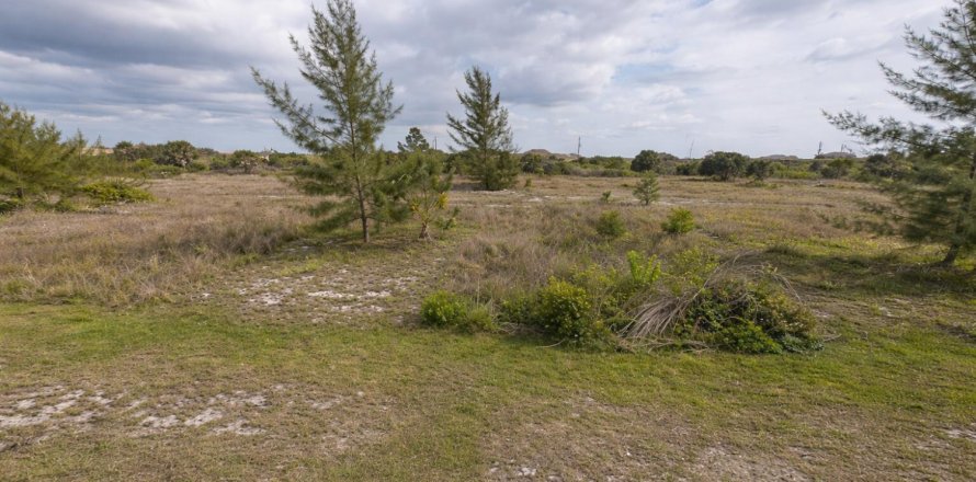 Propiedad comercial en Port Charlotte, Florida № 2158284