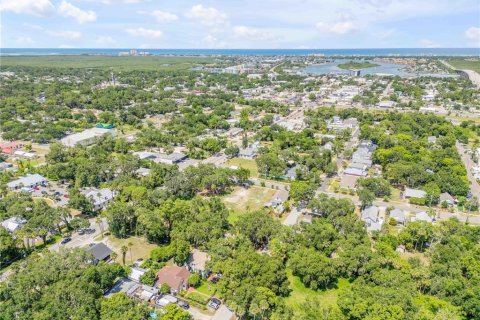 Terreno en venta en New Smyrna Beach, Florida № 1840597 - foto 20