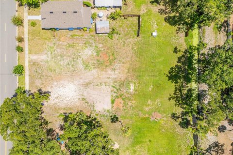 Terreno en venta en New Smyrna Beach, Florida № 1840597 - foto 10