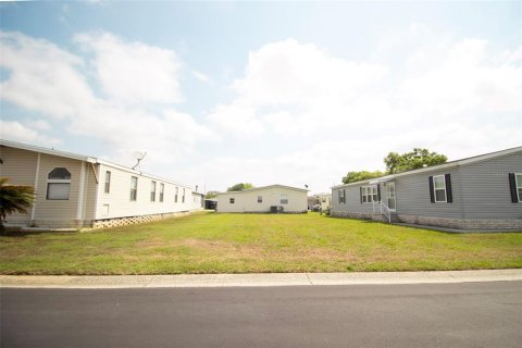Land in Wesley Chapel, Florida № 2159532 - photo 3
