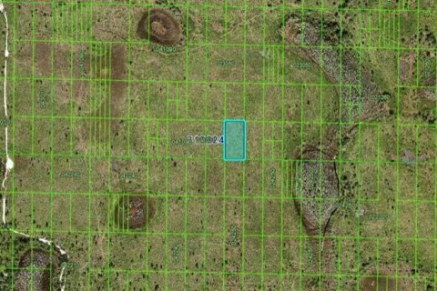Land in Frostproof, Florida № 2162045 - photo 2
