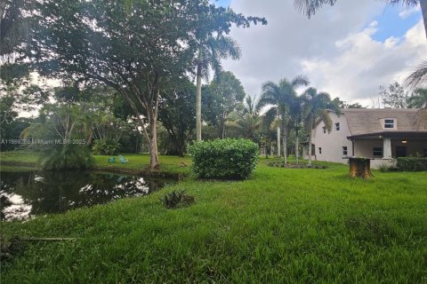 Casa en alquiler en Davie, Florida, 5 dormitorios, 481.88 m2 № 1896665 - foto 13