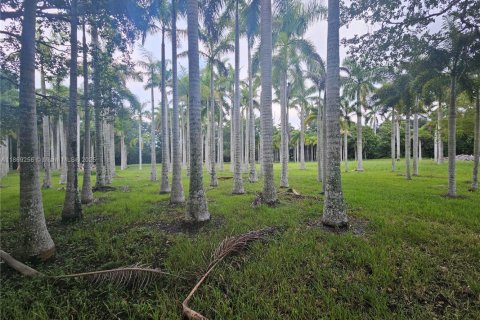Casa en alquiler en Davie, Florida, 5 dormitorios, 481.88 m2 № 1896665 - foto 7