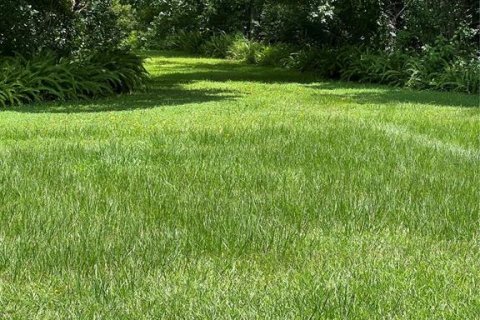 Land in Longwood, Florida № 2230818