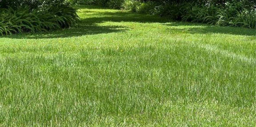 Terrain à Longwood, Floride № 2230818