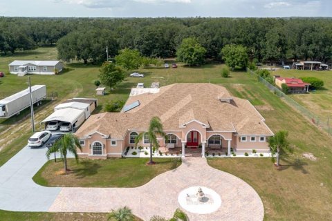 Villa ou maison à vendre à Plant City, Floride: 5 chambres, 411.37 m2 № 1870823 - photo 4