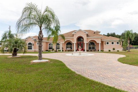 Villa ou maison à vendre à Plant City, Floride: 5 chambres, 411.37 m2 № 1870823 - photo 1