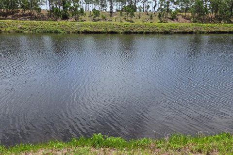 Terreno en Okeechobee, Florida № 2224684