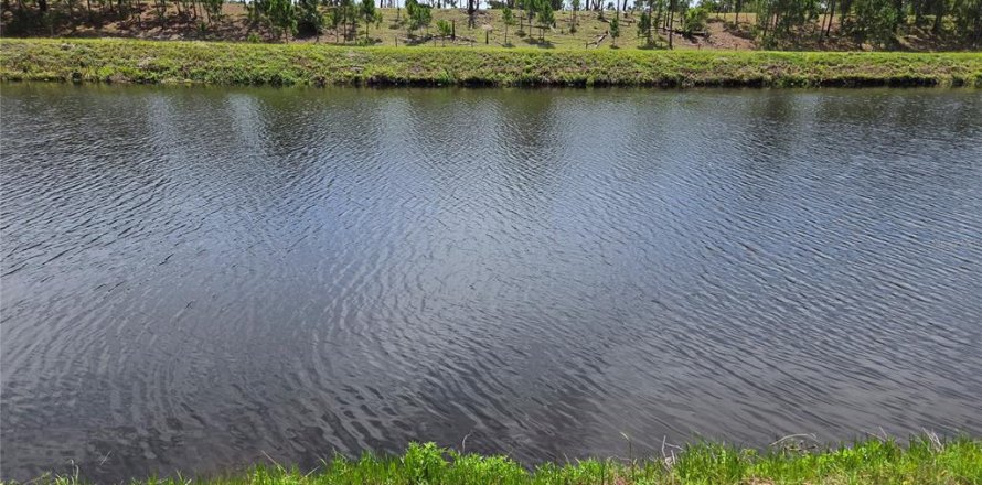 Terrain à Okeechobee, Floride № 2224684