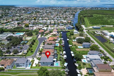 Casa en venta en Apollo Beach, Florida, 6 dormitorios, 303.88 m2 № 1288183 - foto 3