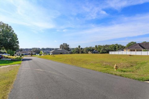 Land in Fruitland Park, Florida № 2213193